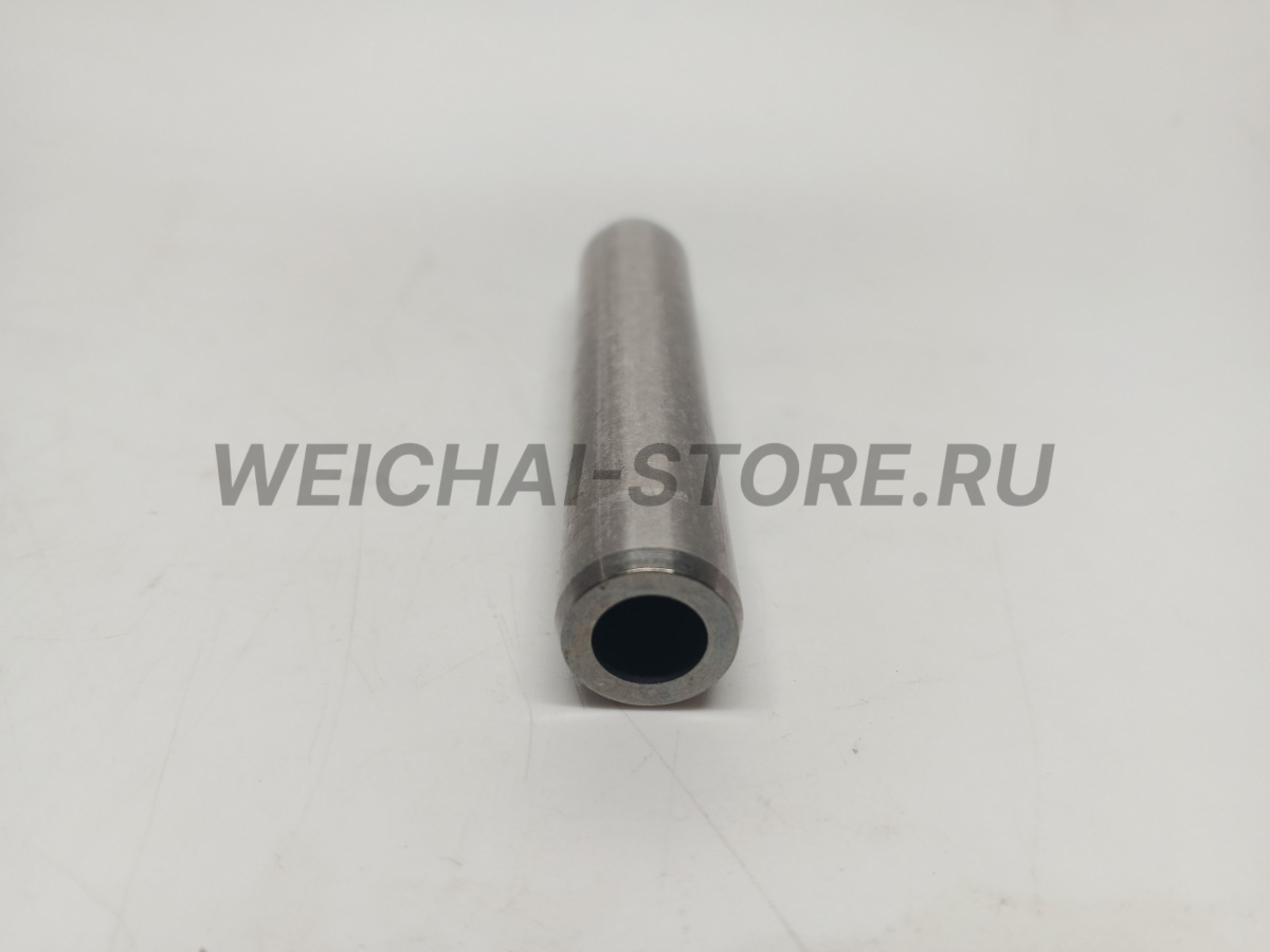1004718837 Направляющая клапана (612630040250)
