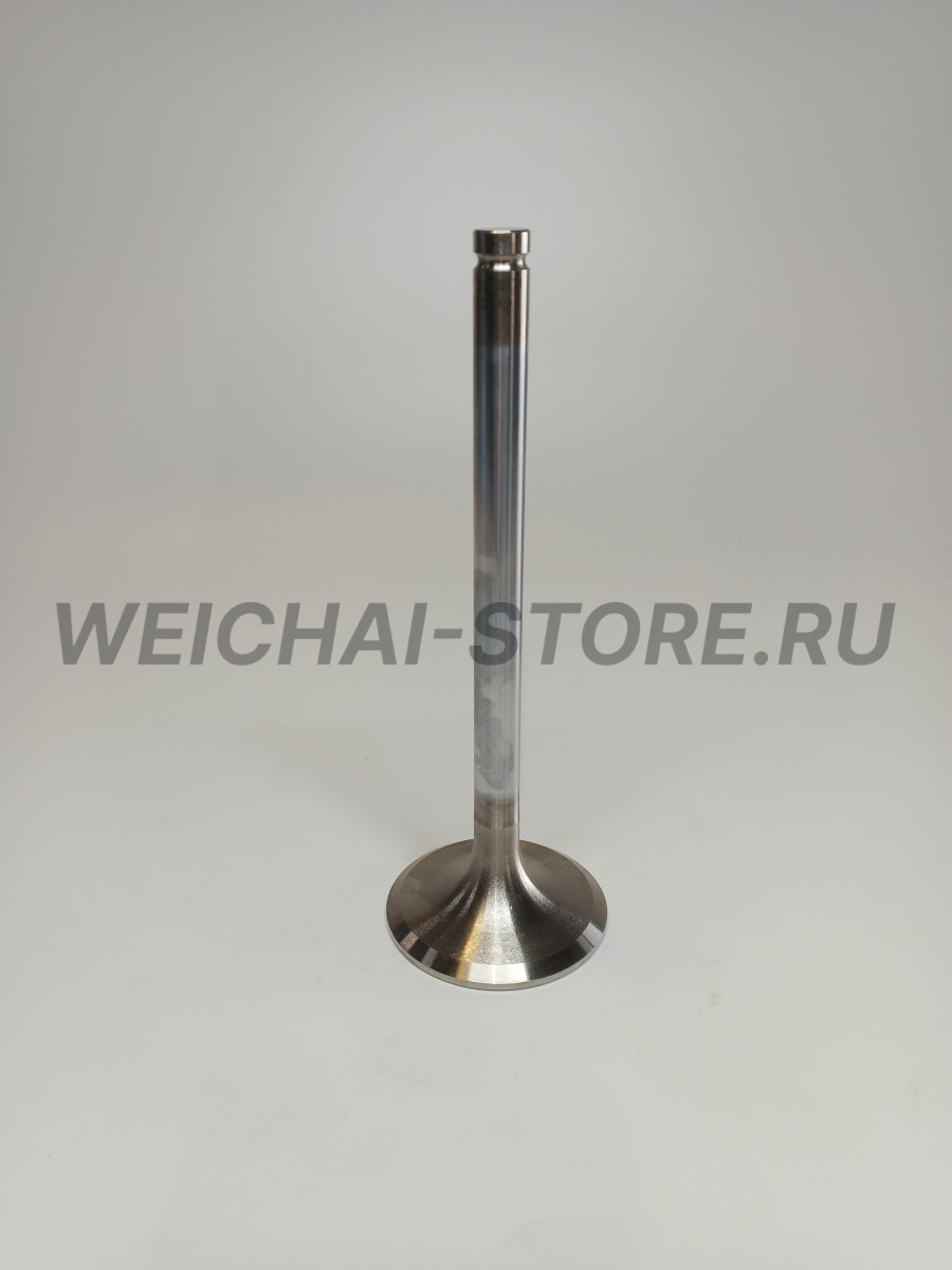 612600050073 клапан впускной