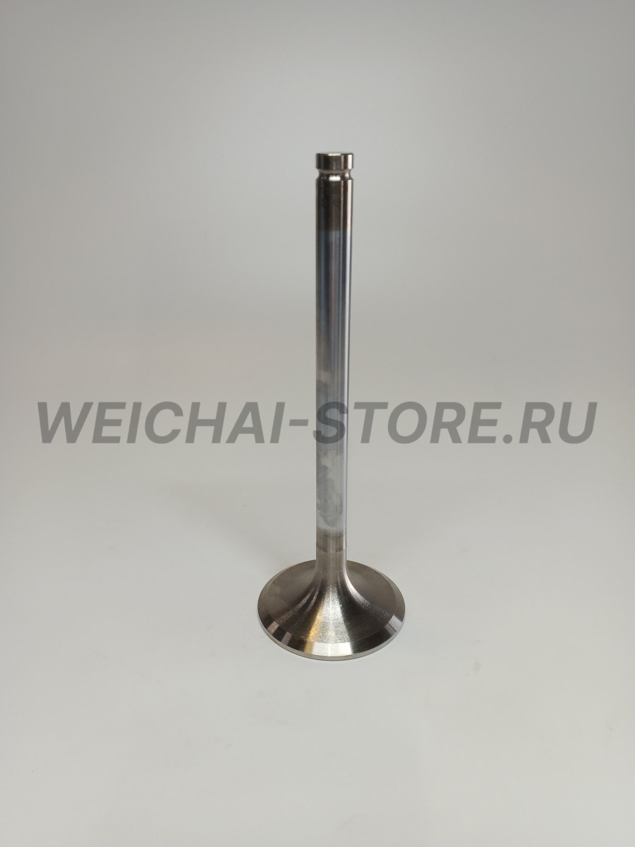 612600050073 клапан впускной