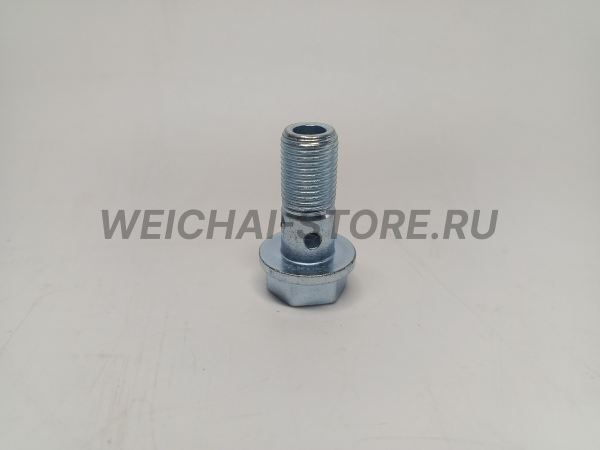 612639000047 Пустотелый болт (штуцер)