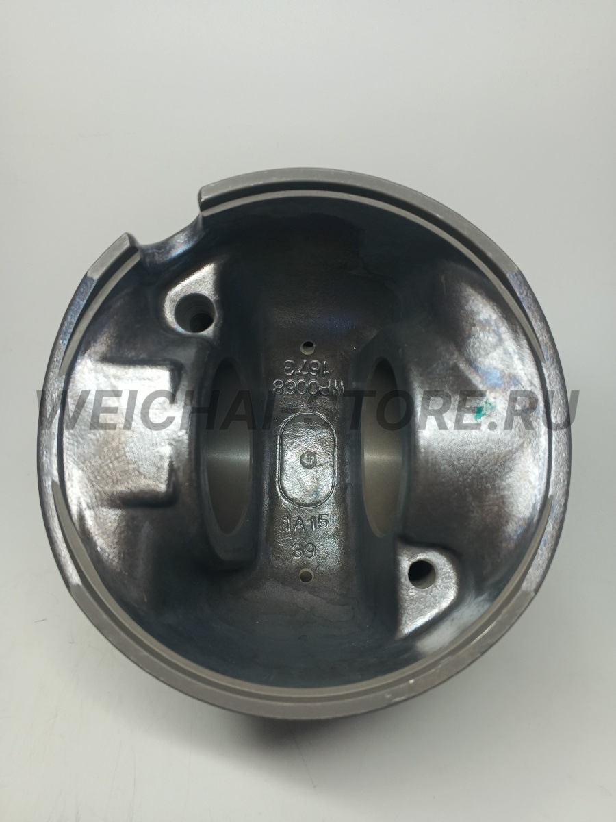 612600030068 Поршень WP10