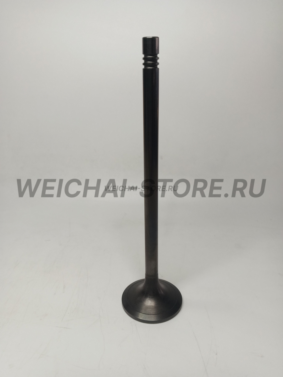 1001377941 Клапан впускной (1000059343)