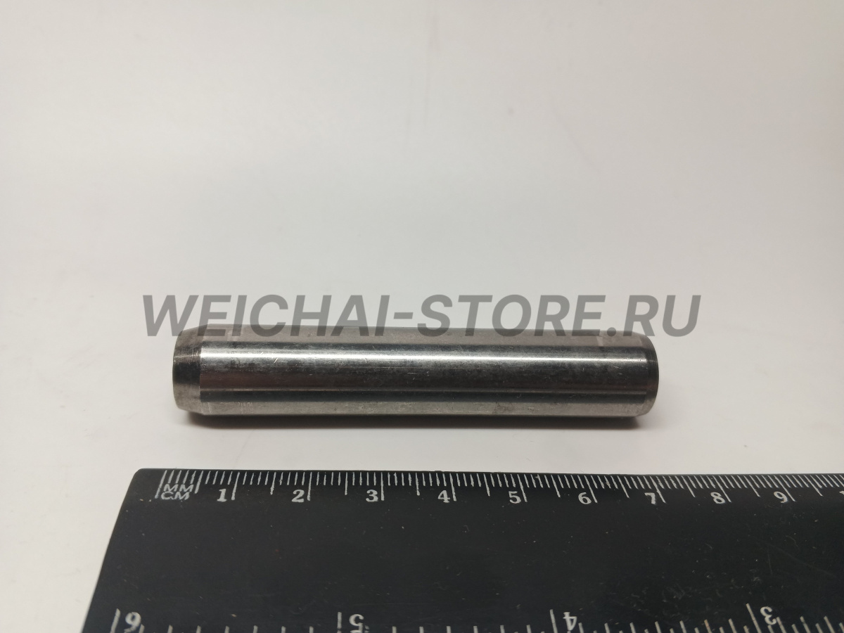 1004718837 Направляющая клапана (612630040250)