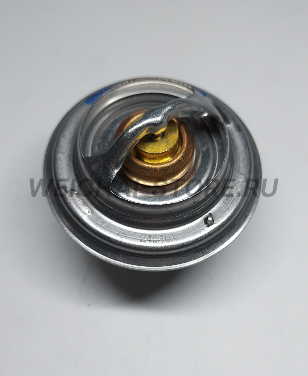 1004764968 Термостат 85С