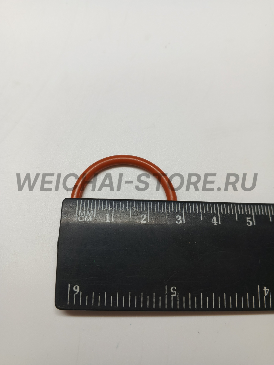 406060010 Уплотнение стакана топливной форсунки