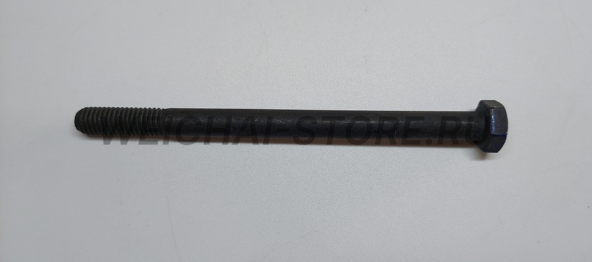 90003802493 Болт коренной