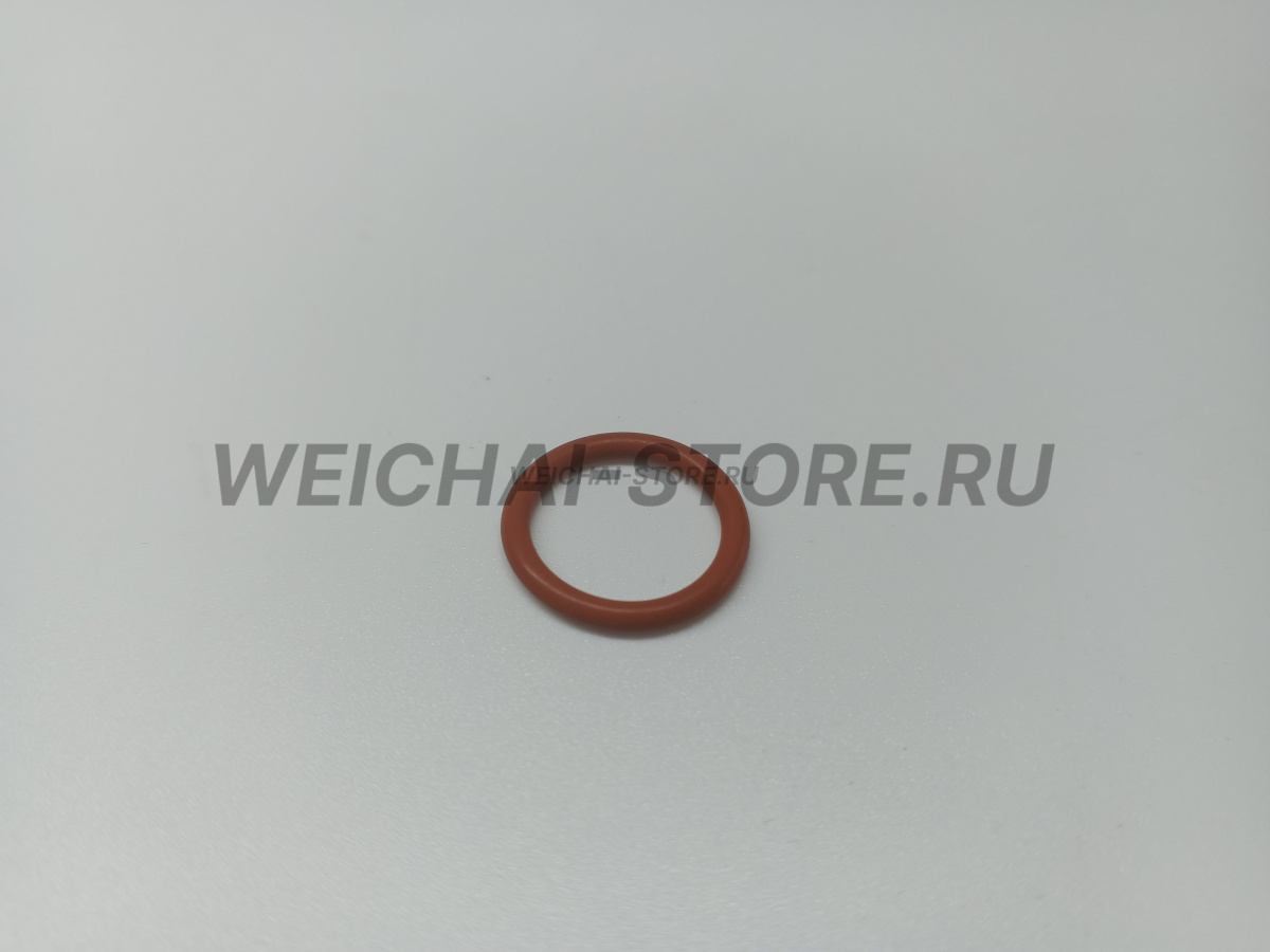 612639000019 Уплотнение масляного насоса