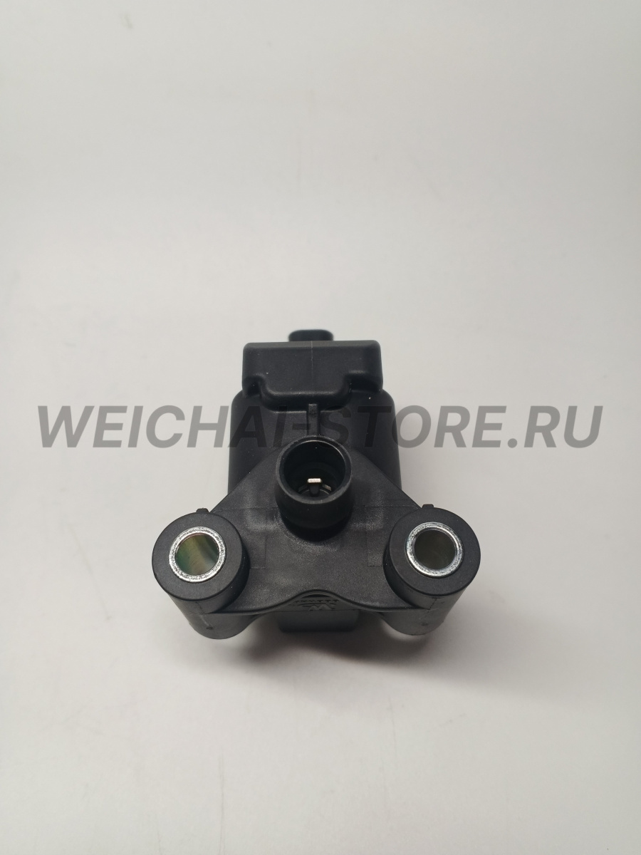 1007324835 Катушка зажигания