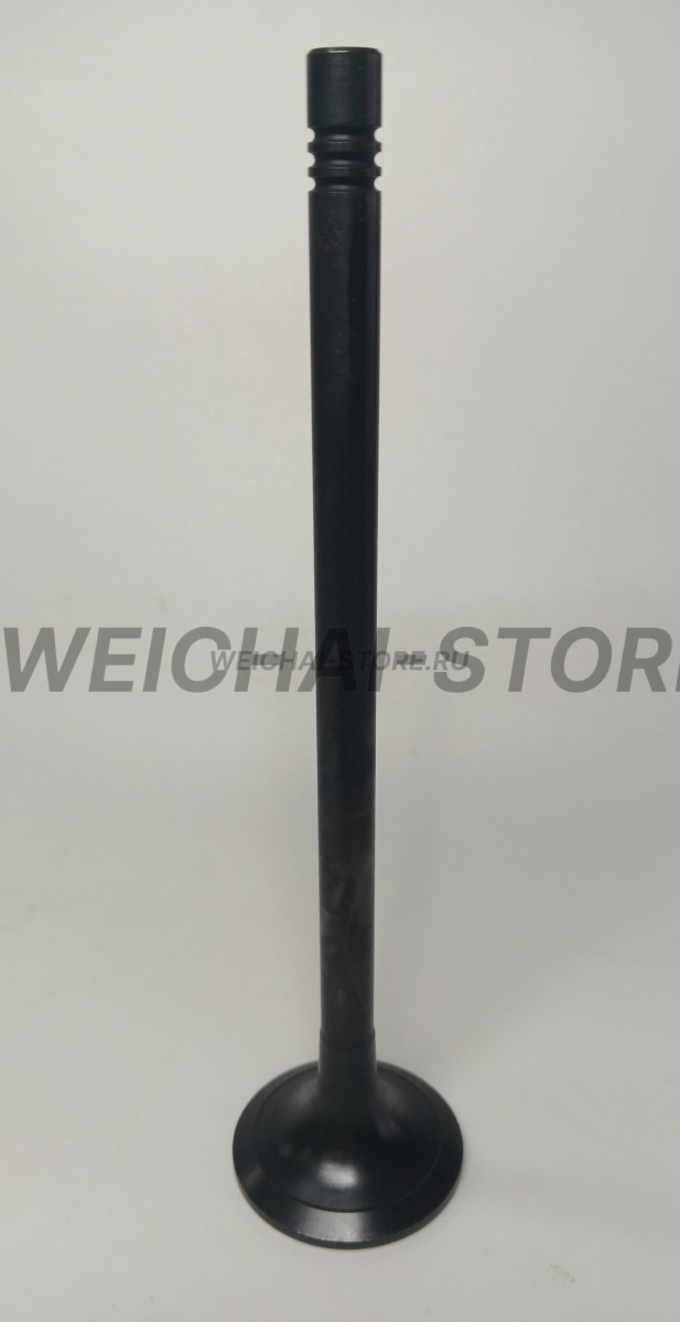 612630050075 Клапан выпускной