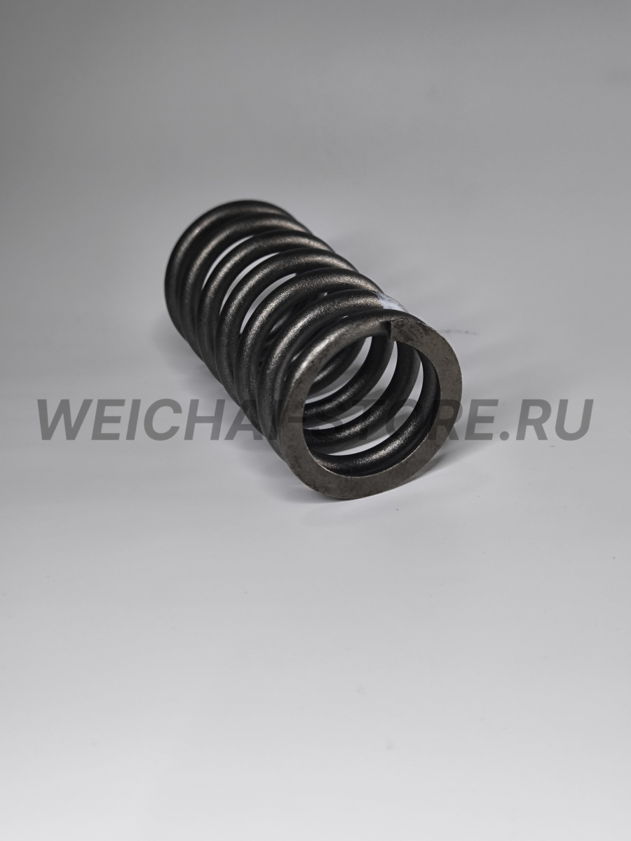 612630050005 пружина клапана
