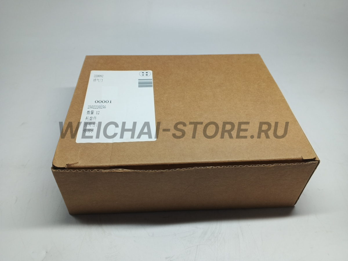 1004220092 Выпускной клапан