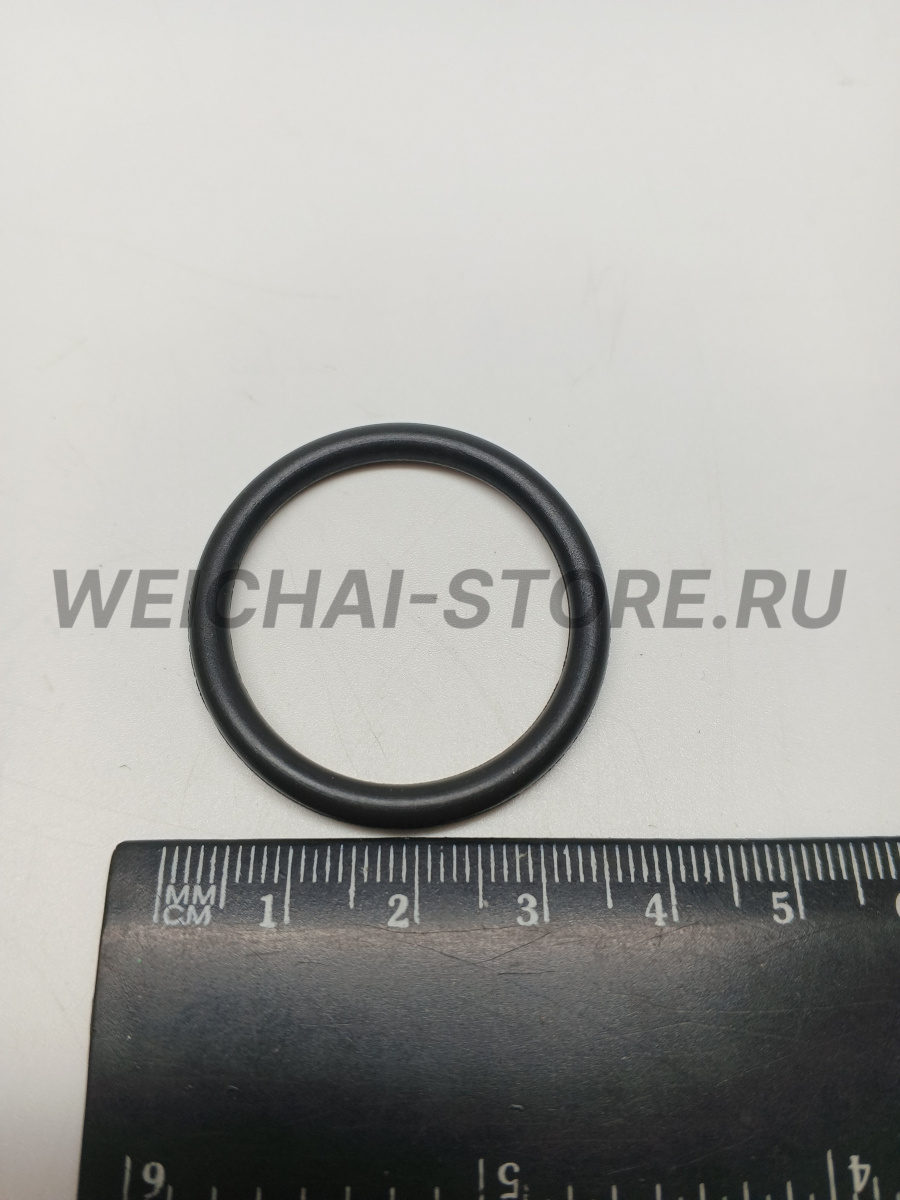 1004257065 Уплотнительное кольцо втулки форсунки