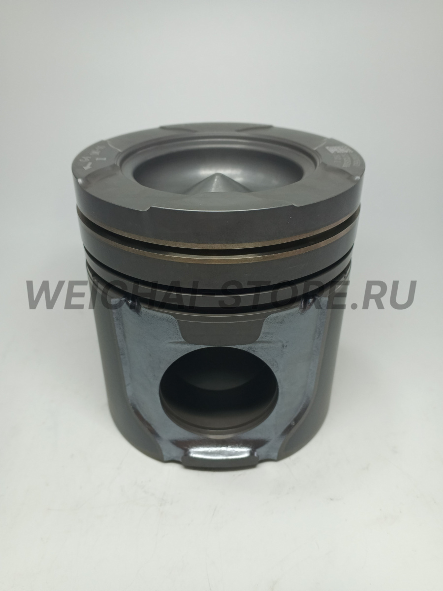 1000076563 ПОРШЕНЬ