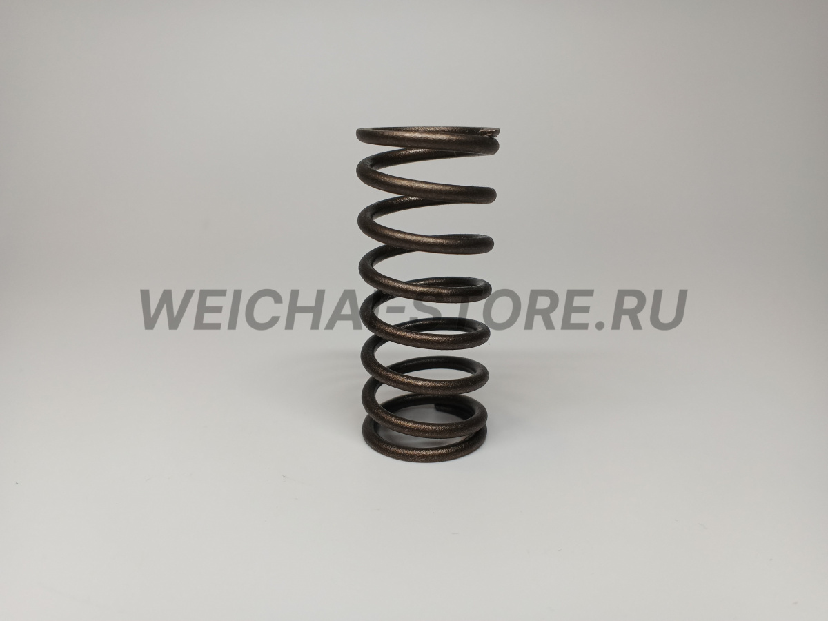 61500050001 пружина клапана малая