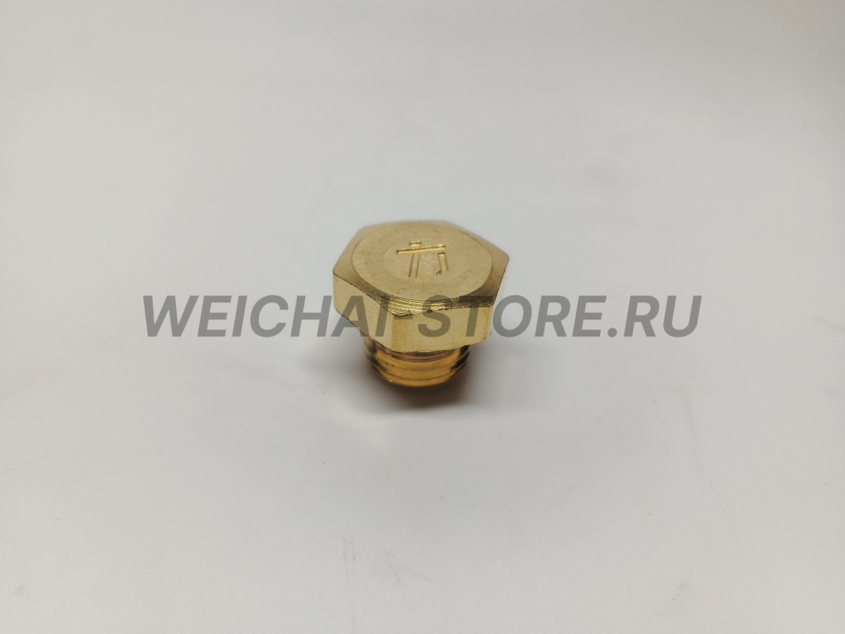 90003962020 Пробка водяного коллектора