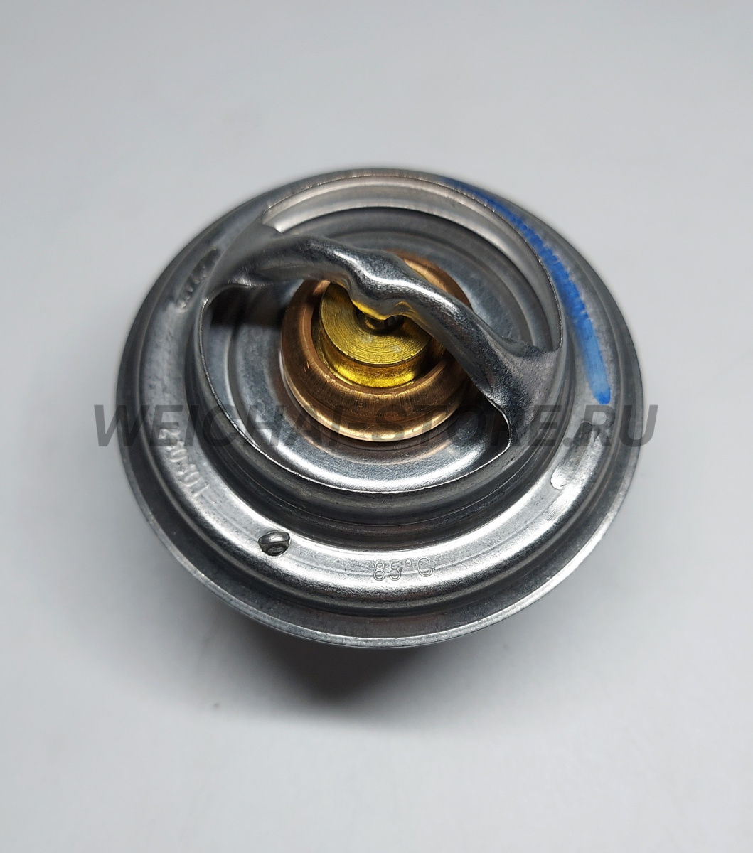 1004764968 Термостат 85С