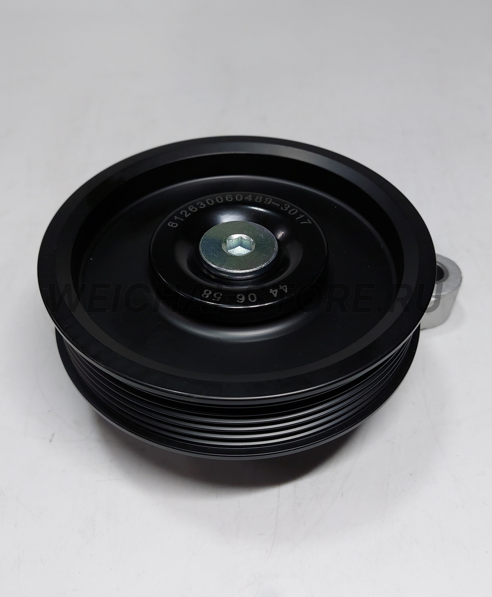 612630060489 Ролик обводной