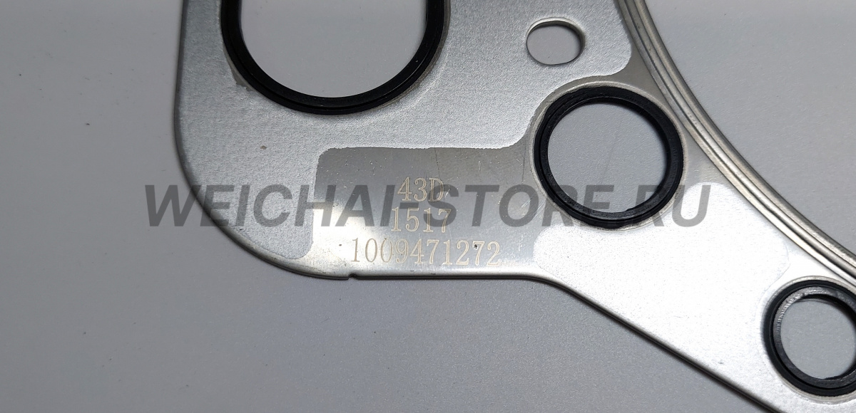 1009471272 Прокладка головки