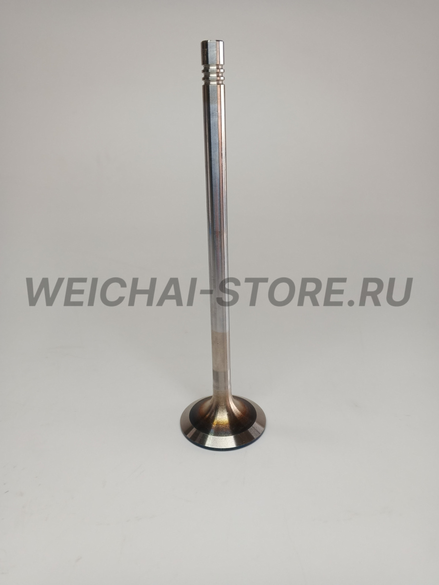 612630050001 Клапан впускной