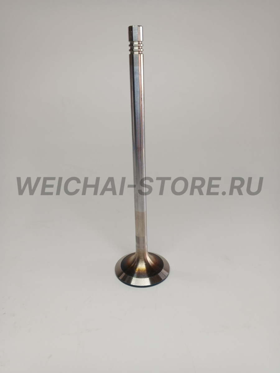 612630050001 Клапан впускной