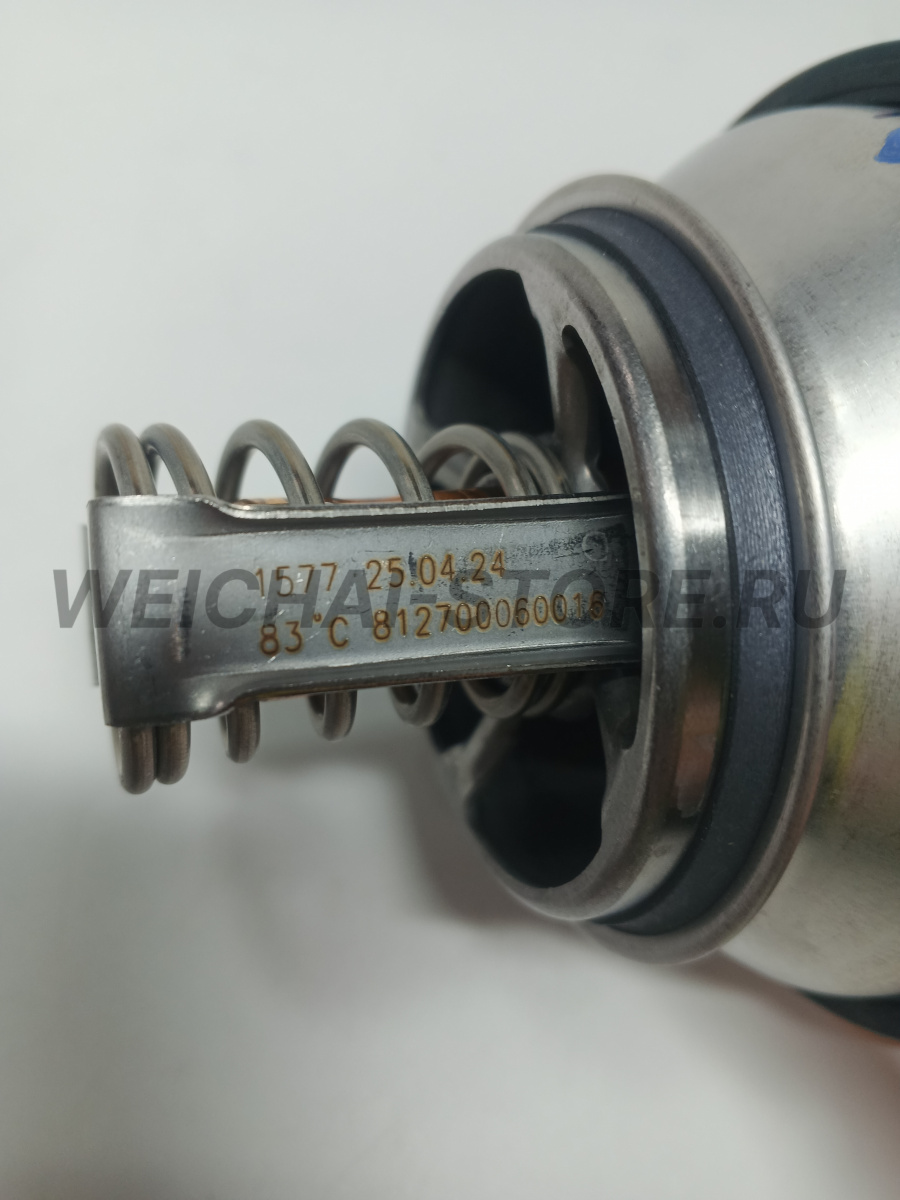 812700060016 Термостат