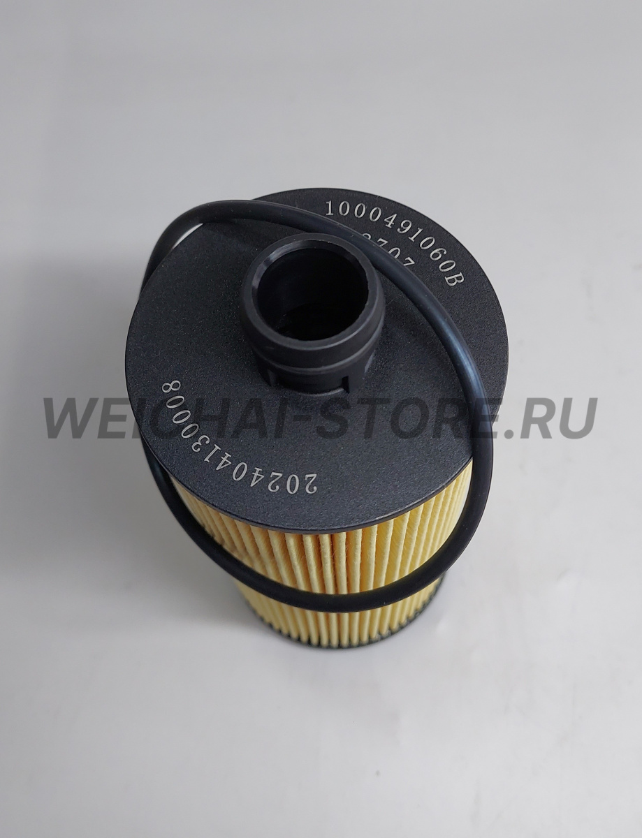 1000491060 фильтр масляный
