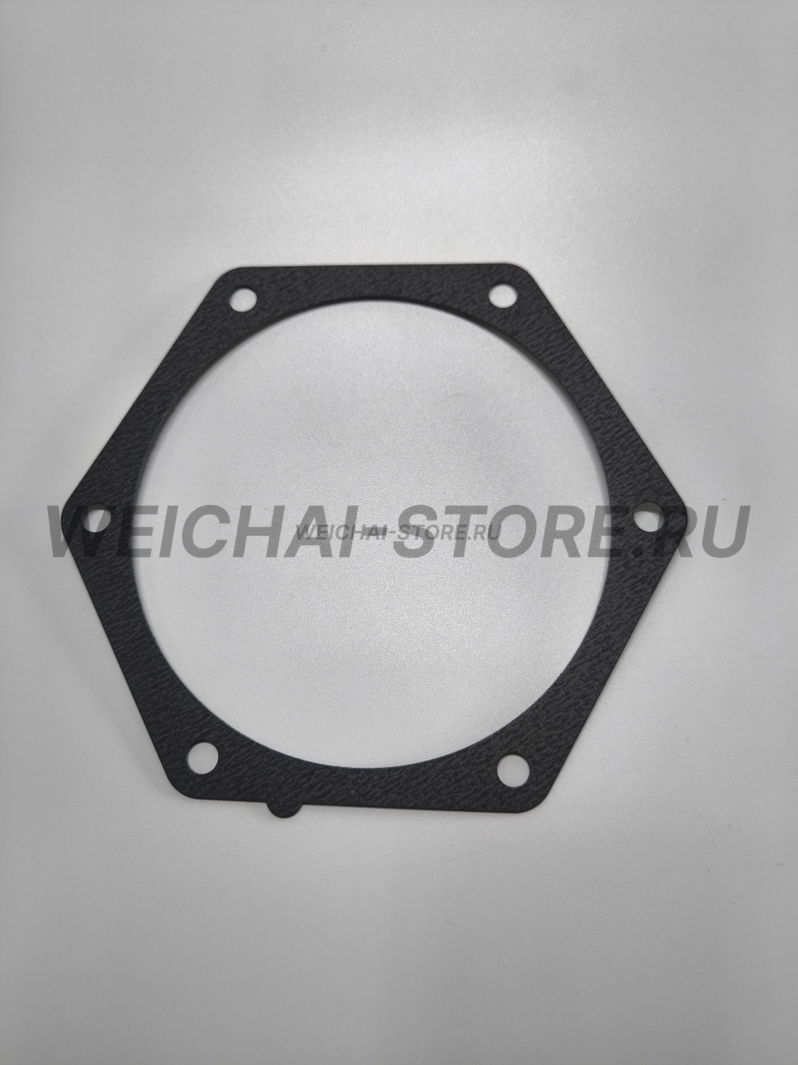 612640060074 прокладка помпы