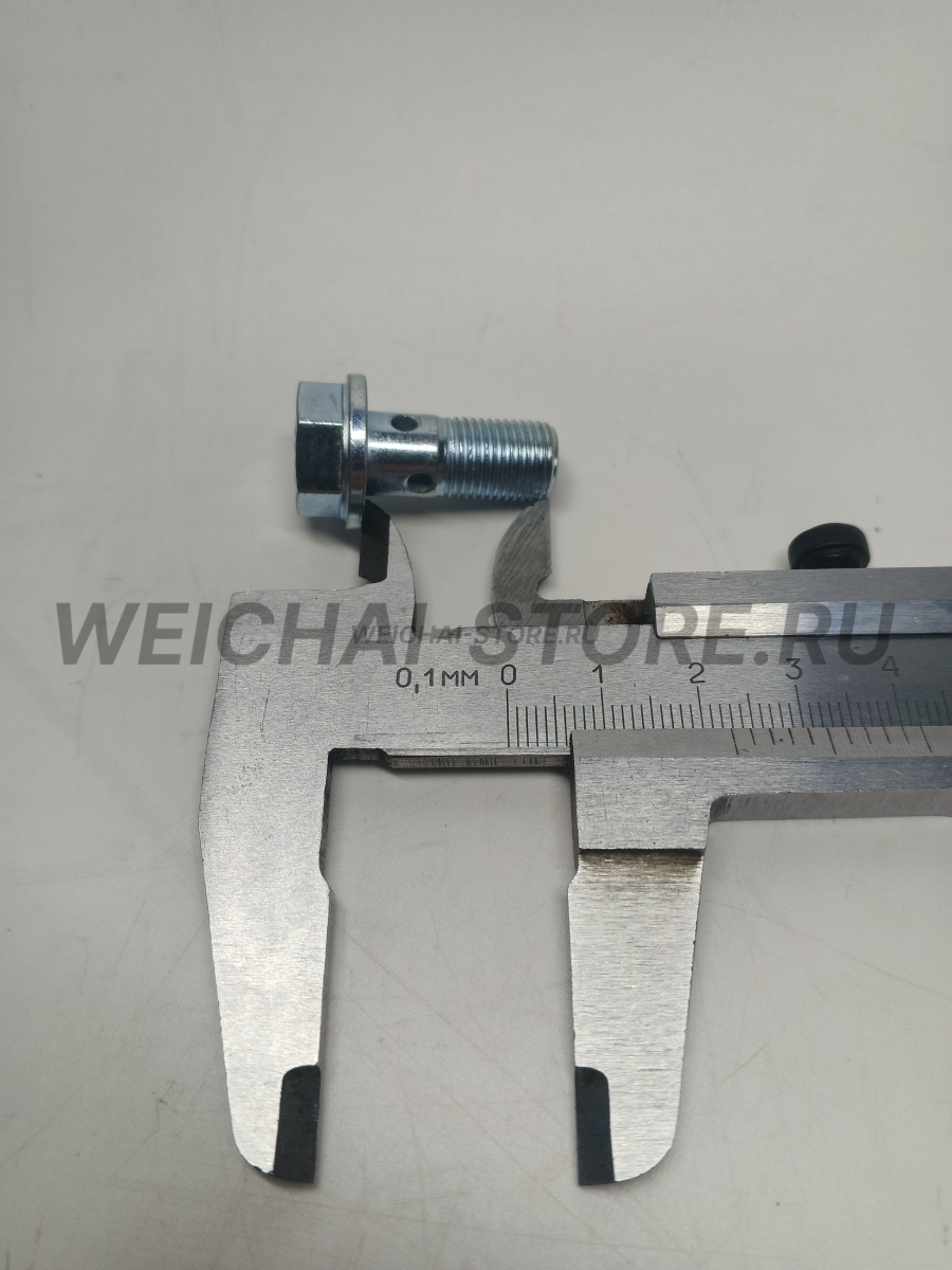 612639000047 Пустотелый болт (штуцер)