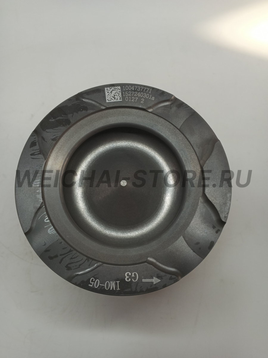 1004737771 Поршень