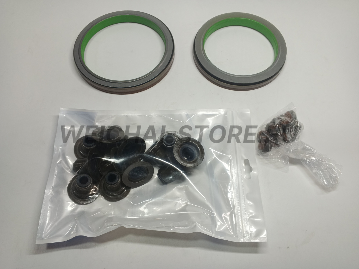 1003162606 комплект прокладок WP12