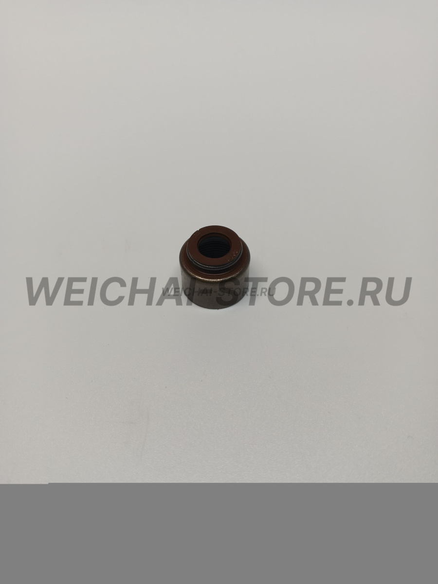 610800040013 сальник клапана