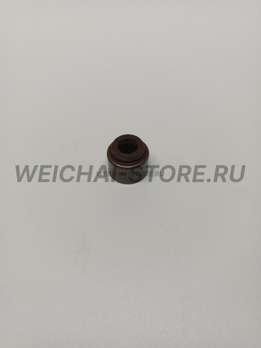 610800040013 сальник клапана