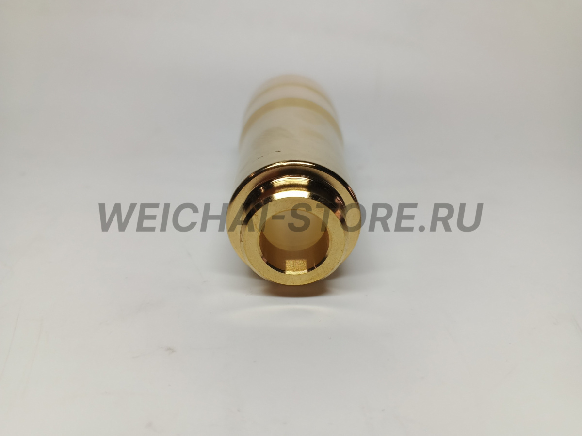 1001004037 Втулка свечного колодца