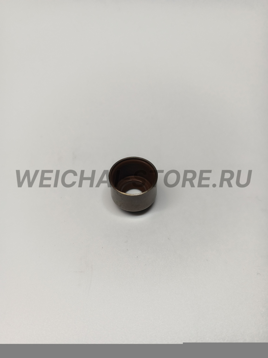 610800040013 сальник клапана