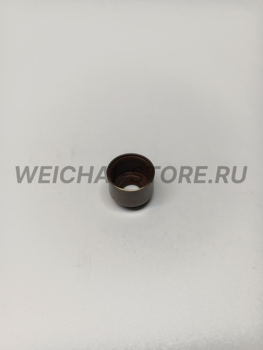 610800040013 сальник клапана