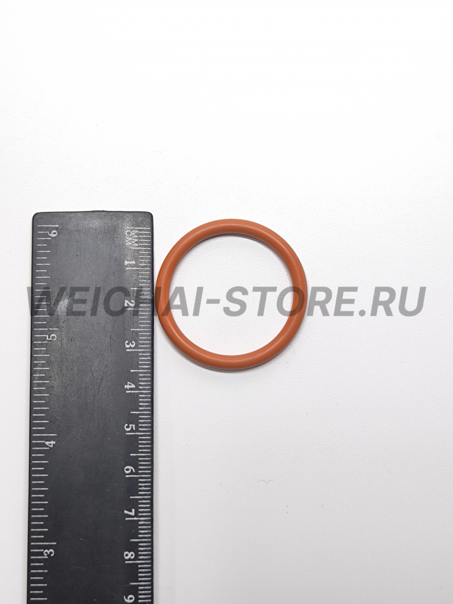 612630040029 уплотнительное кольцо