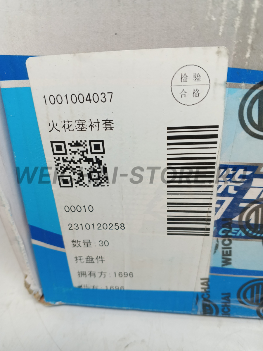 1001004037 Втулка свечного колодца