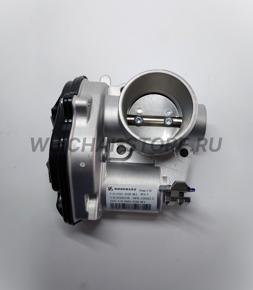 410800190155 Электронный дроссель