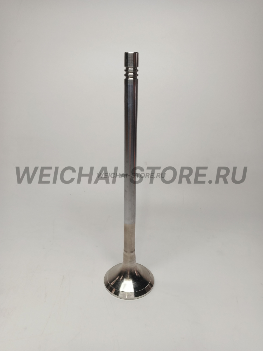 1004220092 Выпускной клапан