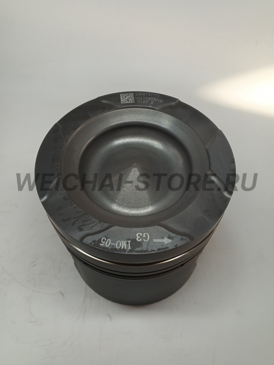 1004737771 Поршень