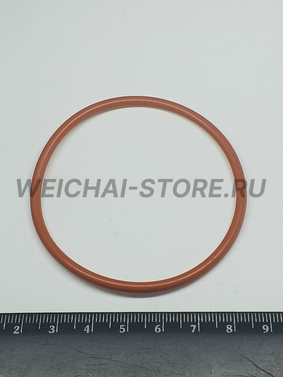 612630060067 Улотнительное кольцо термостата