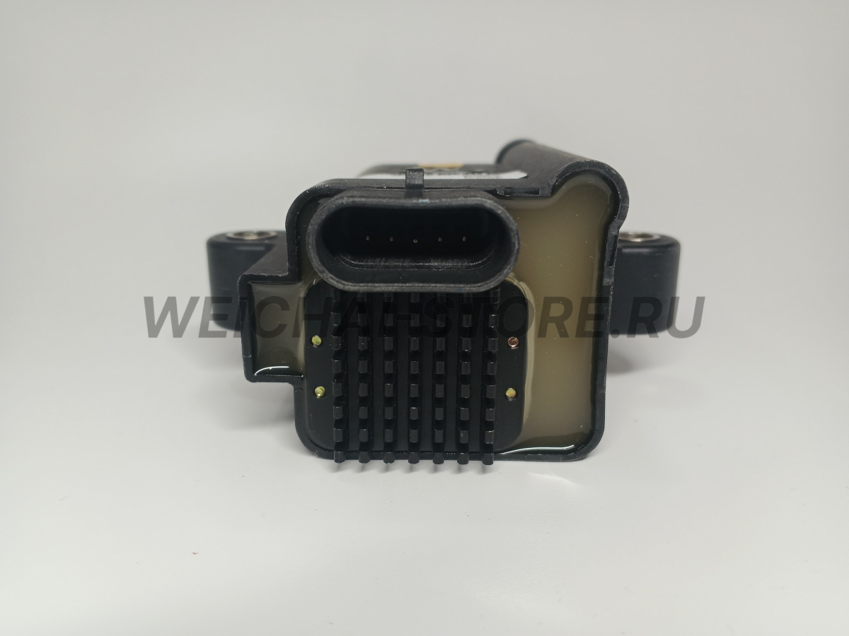 612600190686 Катушка зажигания