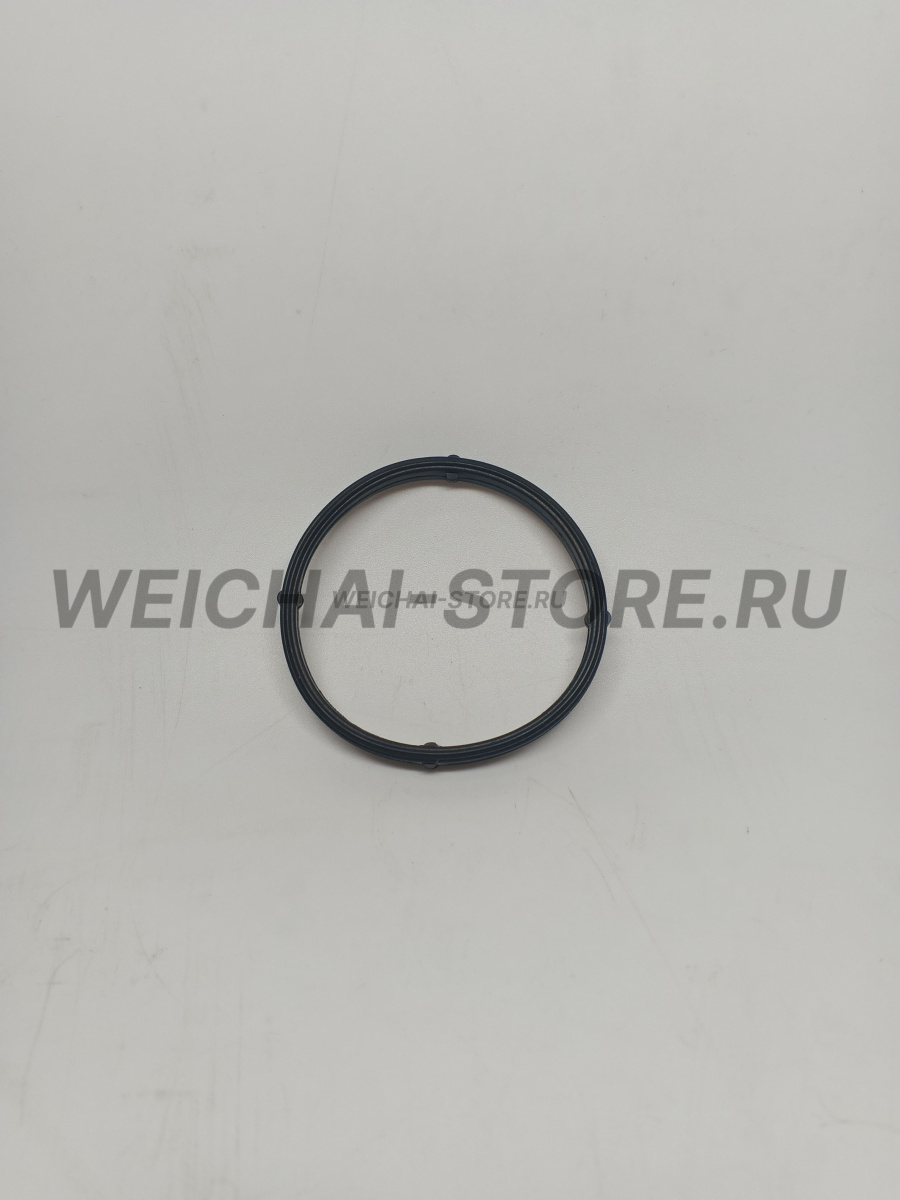 1000101895 Уплотнение маслозаливной горловины