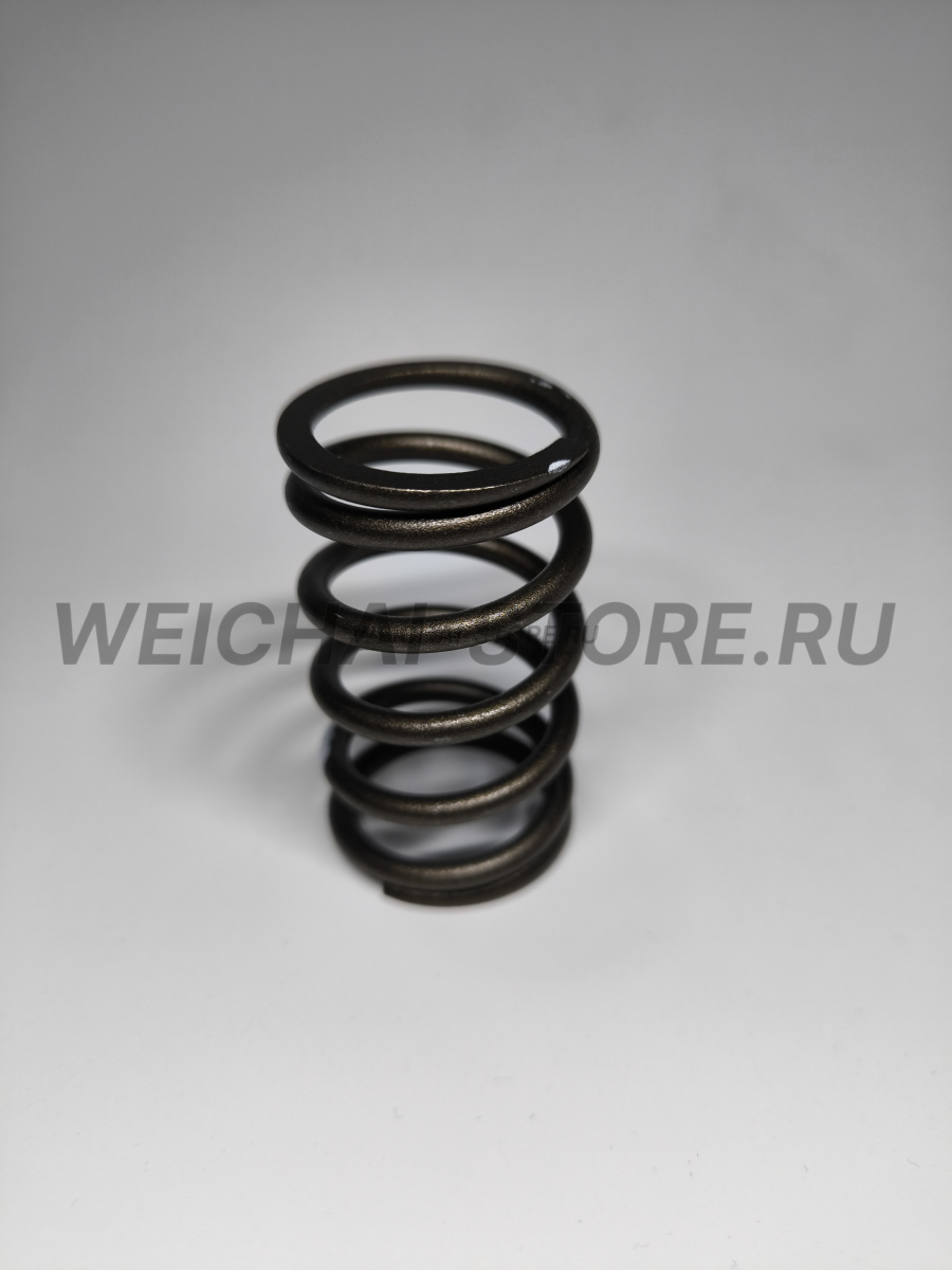 61500050002 пружина клапана большая