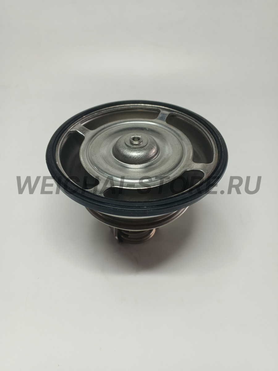 812700060016 Термостат