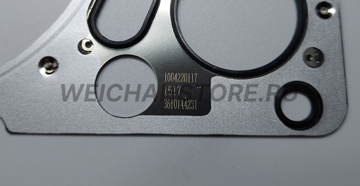 1004220117 Прокладка ГБЦ