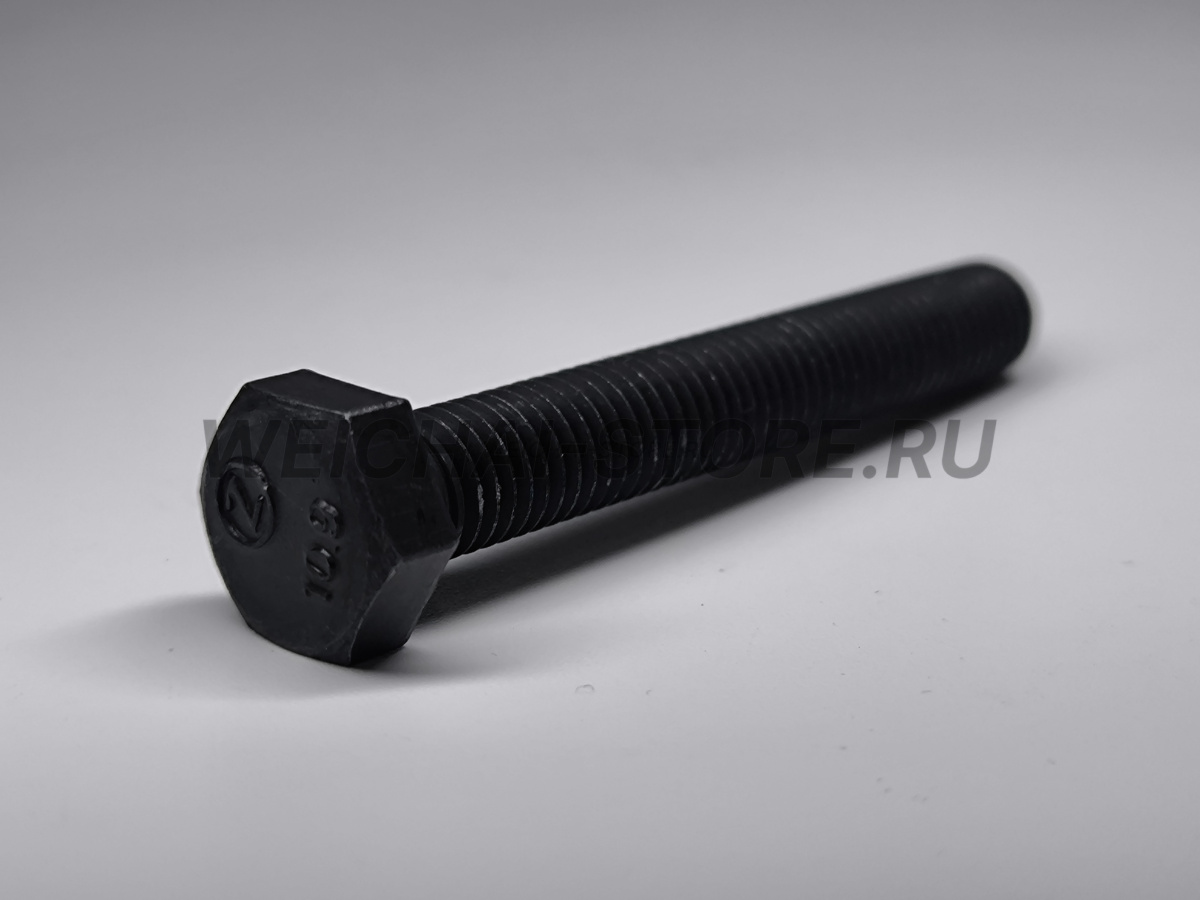 90003802558 болт шкива коленвала