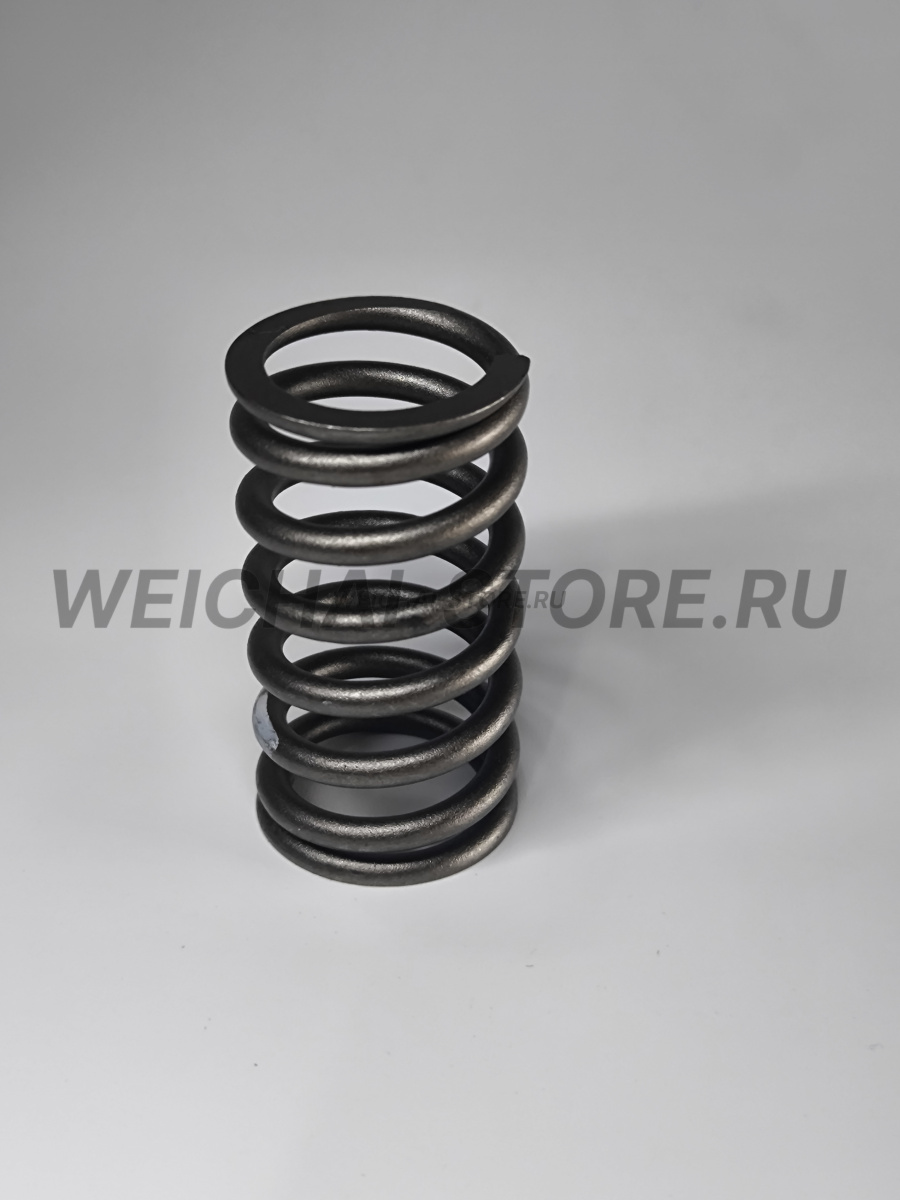 612630050005 пружина клапана