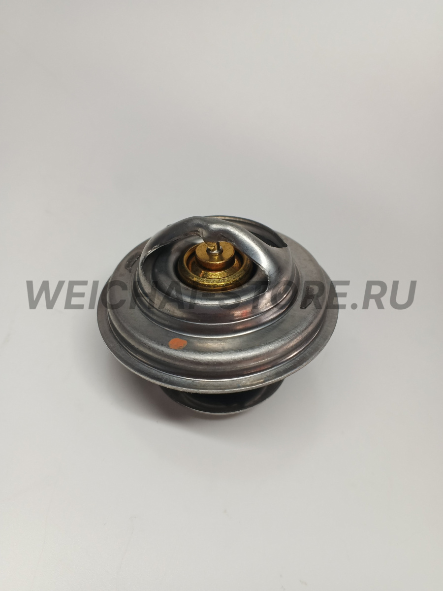 61800060172 термостат