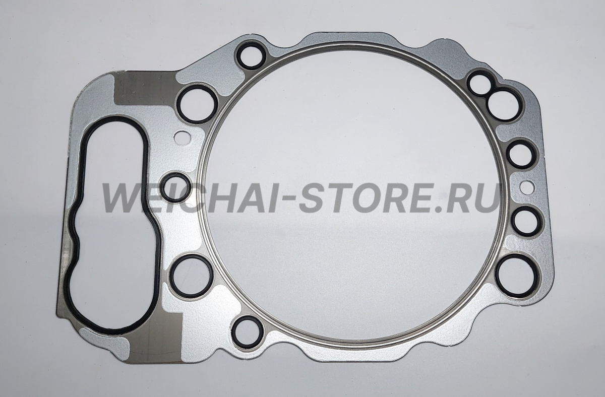 1009471272 Прокладка головки